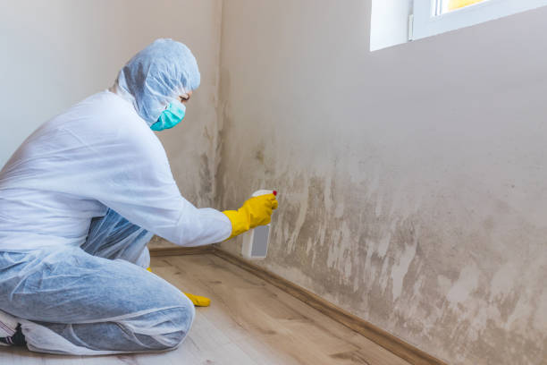Commercial Mold Remediation assessment for commercial property in Sparta